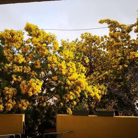 Hyères Appartement Proche Mer Avec Terrasse Et Jardin Privatif المظهر الخارجي الصورة