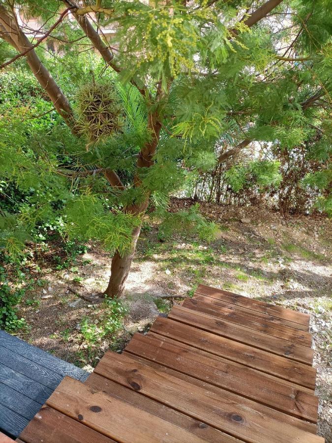 Hyères Appartement Proche Mer Avec Terrasse Et Jardin Privatif المظهر الخارجي الصورة